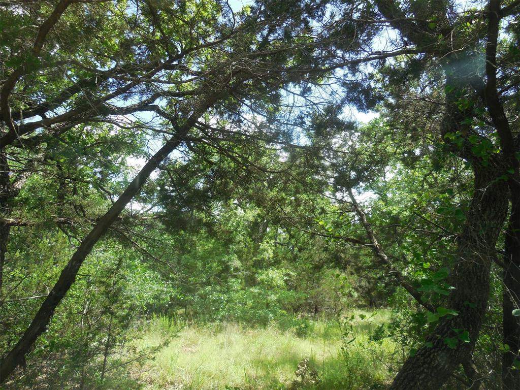 340 County Road 340 Ranger, TX 76470 - Photo 7 of 32