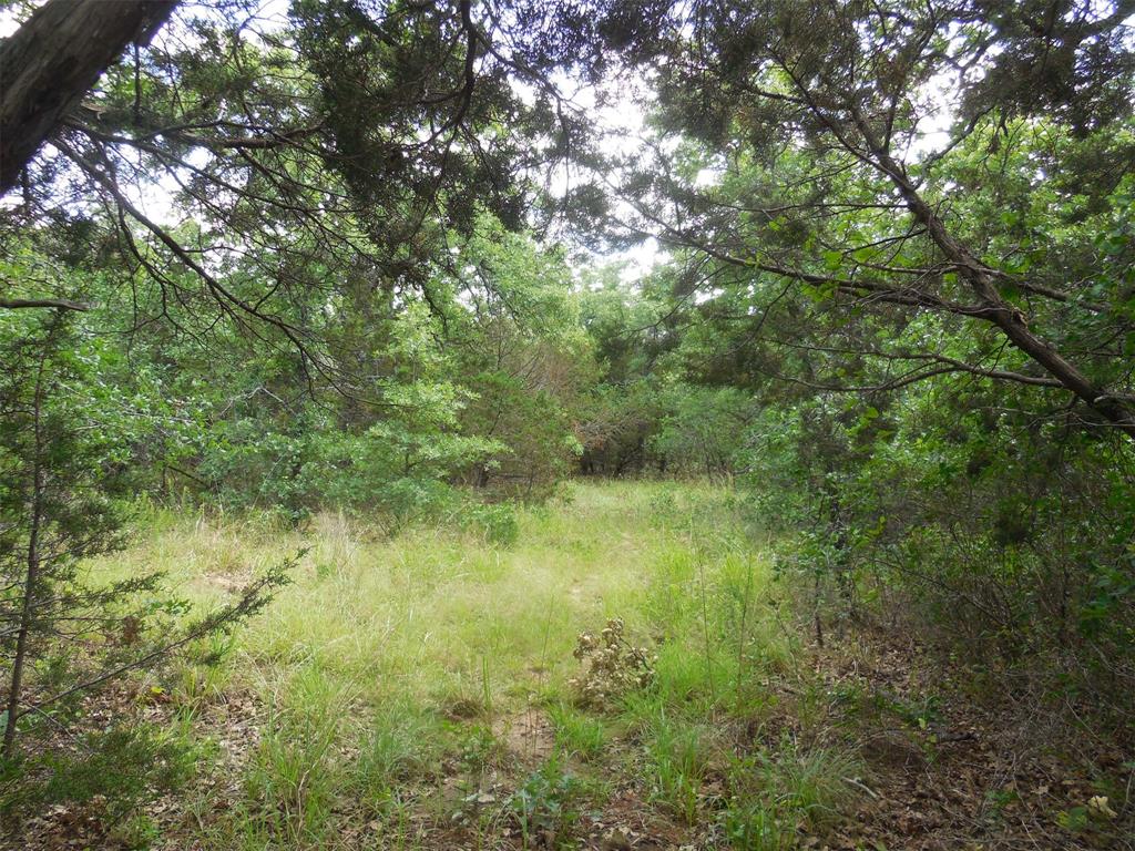 340 County Road 340 Ranger, TX 76470 - Photo 8 of 32