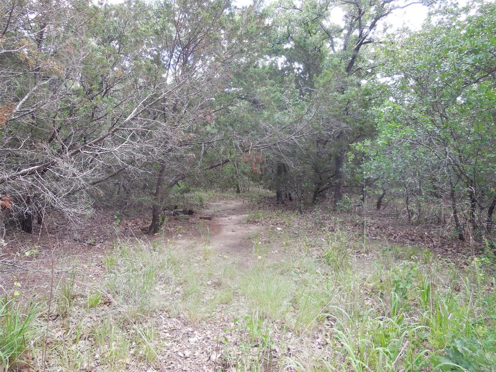 340 County Road 340 Ranger, TX 76470 - Photo 9 of 32