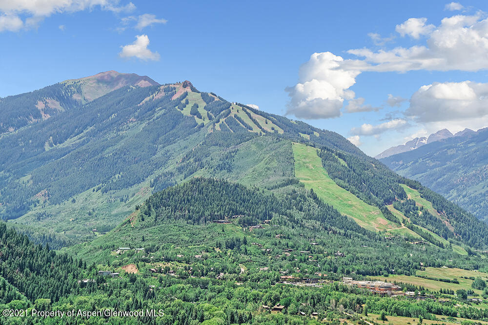 200 West Reds Road Aspen, CO 81611 - Photo 25 of 31 a view of a dry yard with a yard