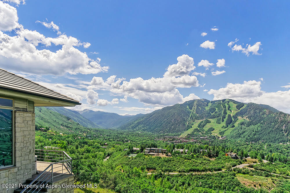 200 West Reds Road Aspen, CO 81611 - Photo 29 of 31 a view of a flower in the garden