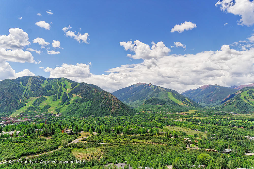 200 West Reds Road Aspen, CO 81611 - Photo 31 of 31 a view of a bunch of flowers in bunch