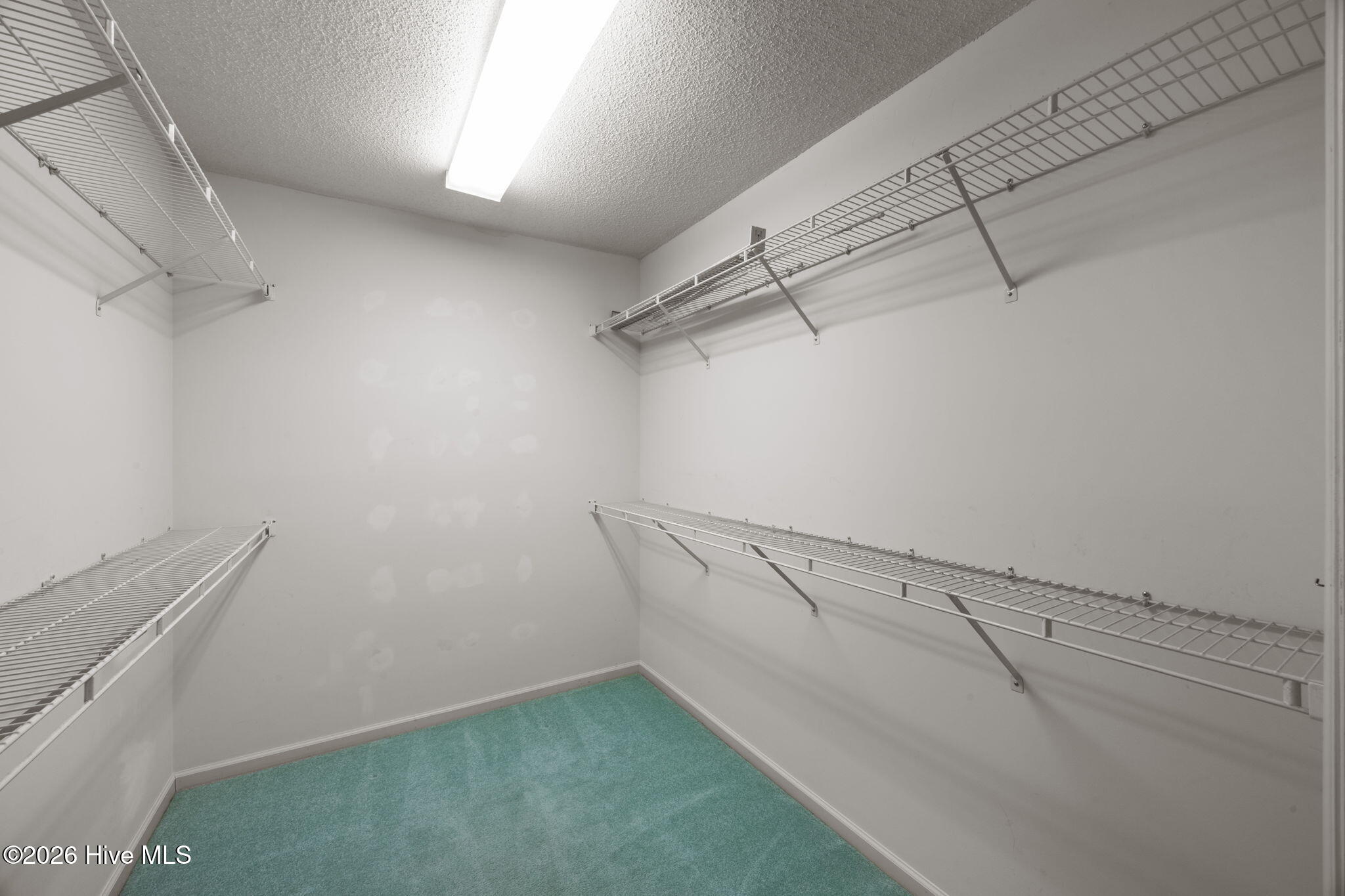 1503 Columbus Court New Bern, NC 28560 - Photo 21 of 65 Walk-in Closet