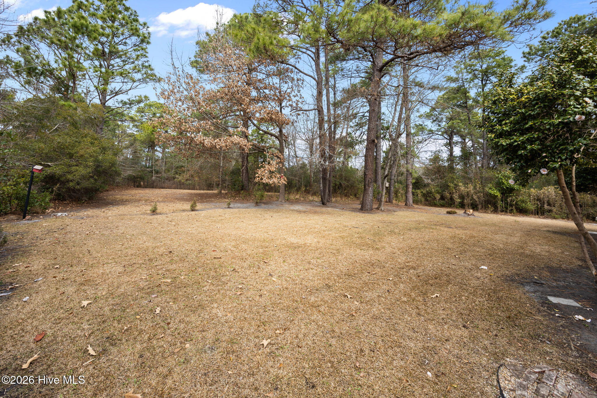 1503 Columbus Court New Bern, NC 28560 - Photo 39 of 65 42-web-or-mls-0C0A1587