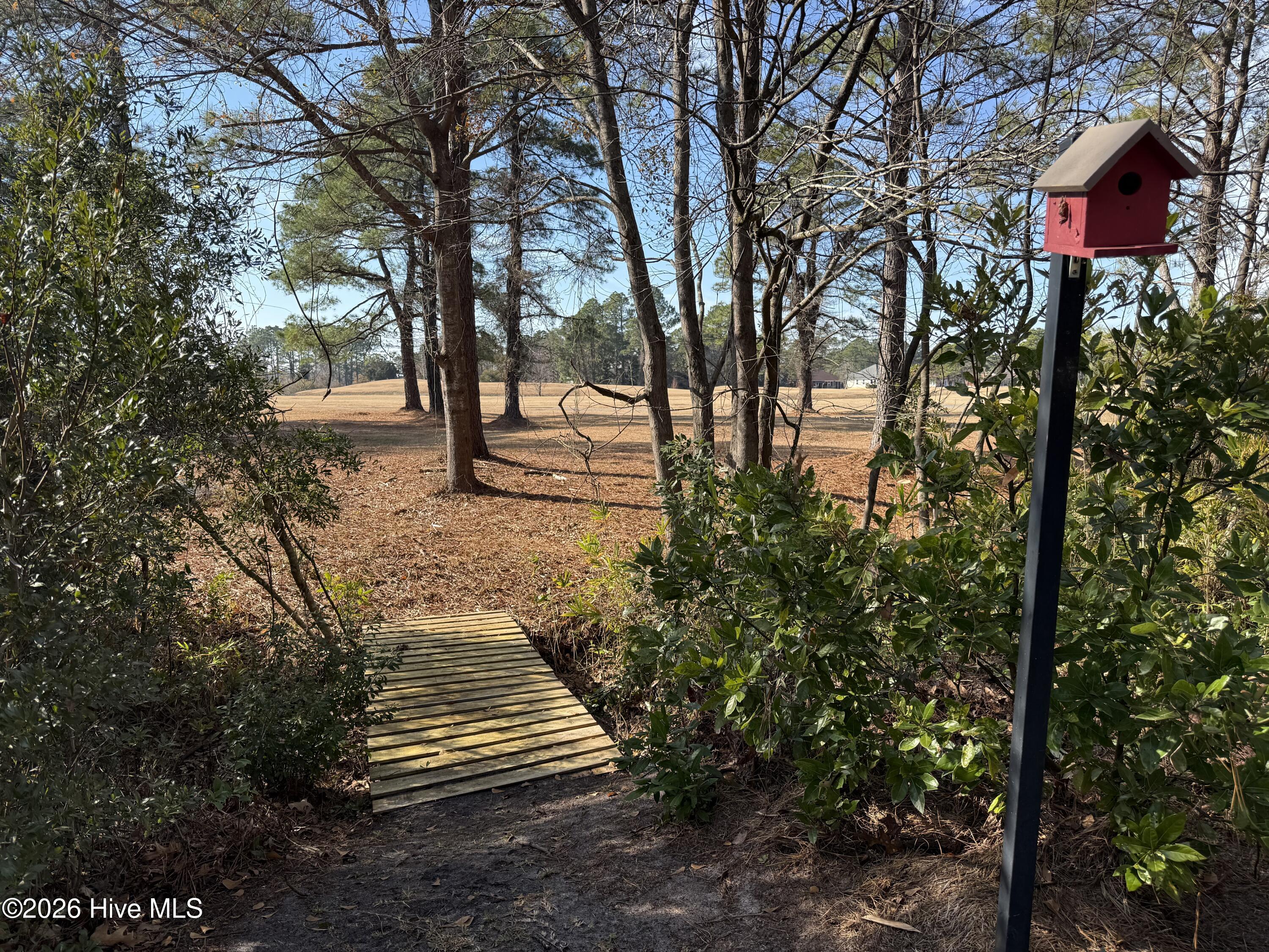 1503 Columbus Court New Bern, NC 28560 - Photo 3 of 65 Green Space behind Yard
