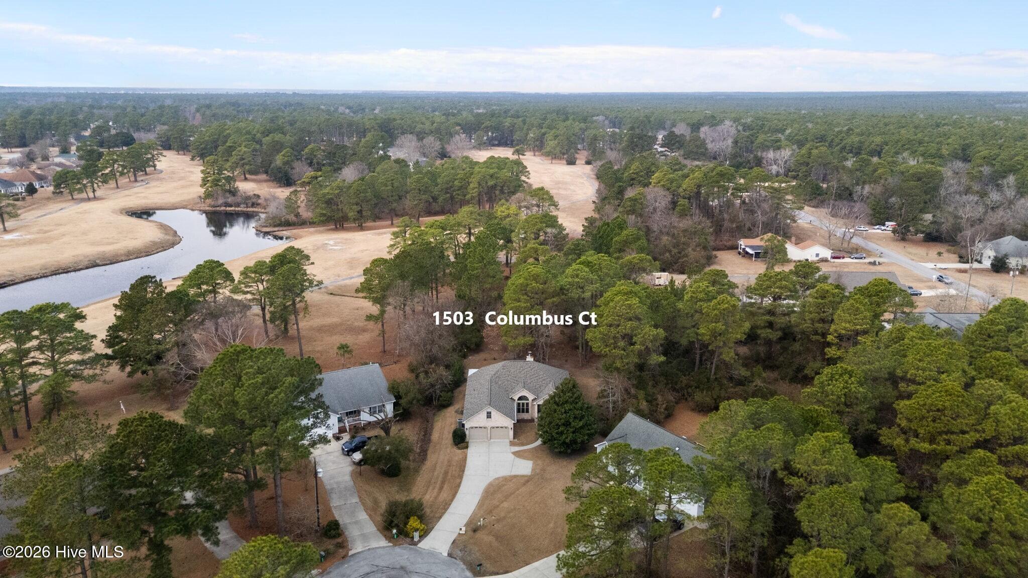 1503 Columbus Court New Bern, NC 28560 - Photo 43 of 65 Aerial 3