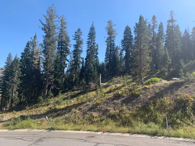 a view of a park with tree s