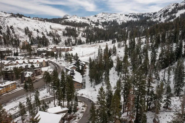 a view of a forest covered with snow