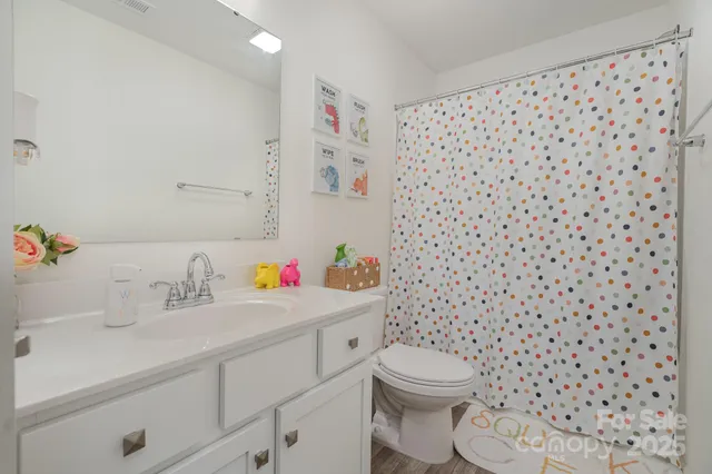 a bathroom with a sink toilet and a shower