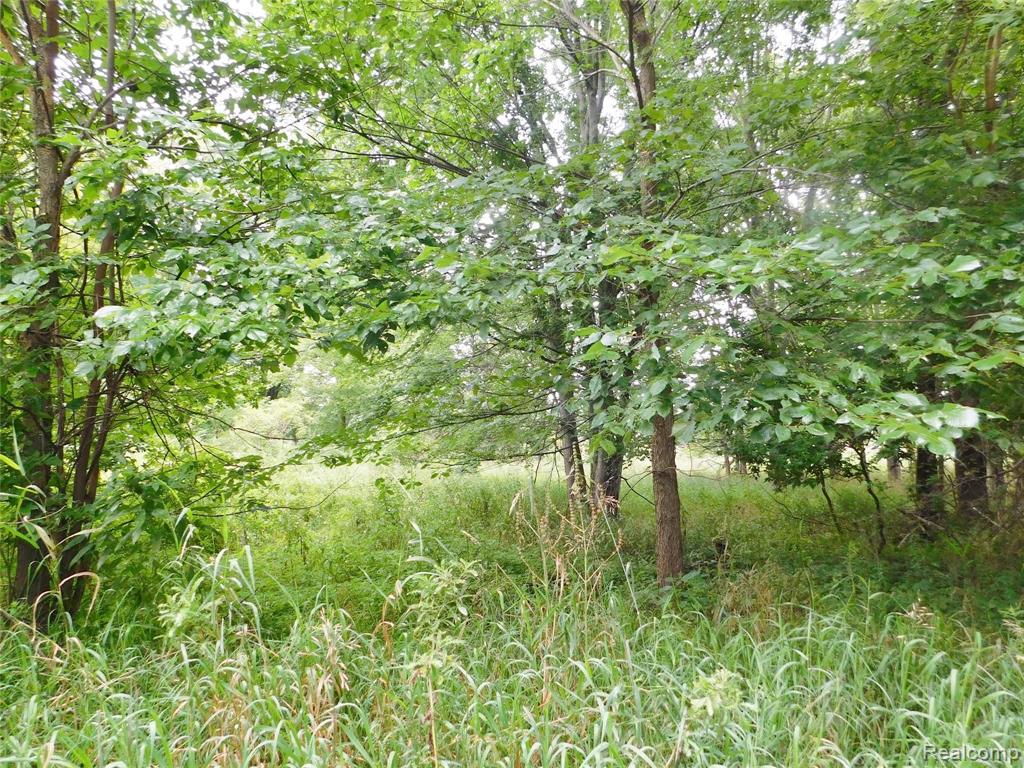 0 Layton Road Fowlerville, MI 48836 - Photo 2 of 2