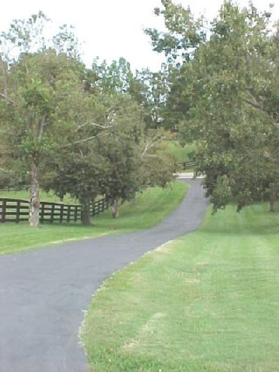 1620 Clintonville Road Winchester, KY 40391 - Photo 2 of 8 Privacy awaits at the end of your tree l