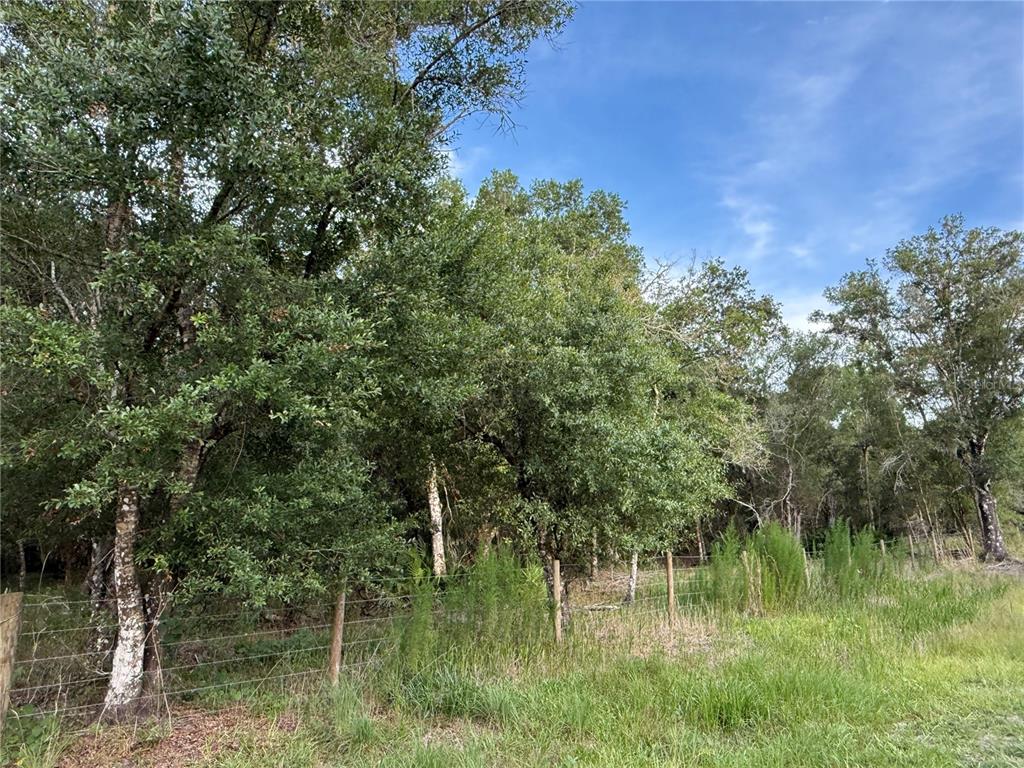 Southeast Brown Road Arcadia, FL 34266 - Photo 6 of 18 a view of a lake view