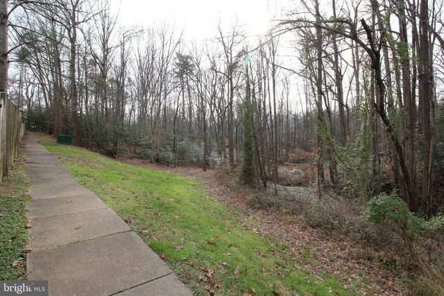 a view of a garden with trees