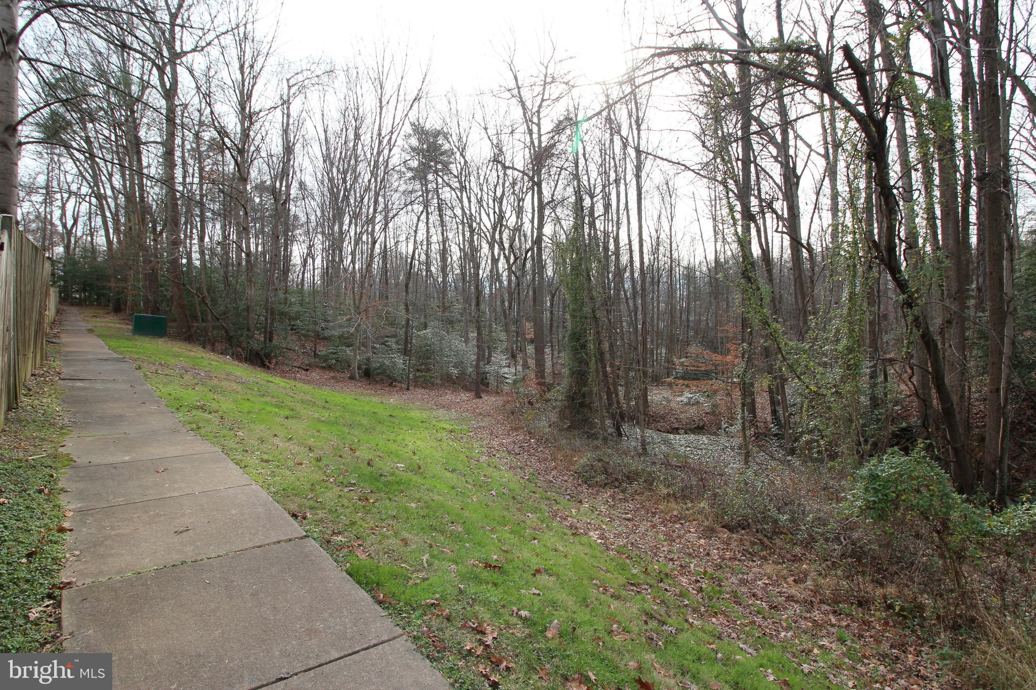 8072 Sleepy View Lane Springfield, VA 22153 - Photo 30 of 30 a view of a garden with trees