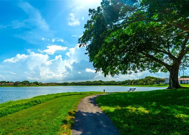a view of a field with a tree in the background