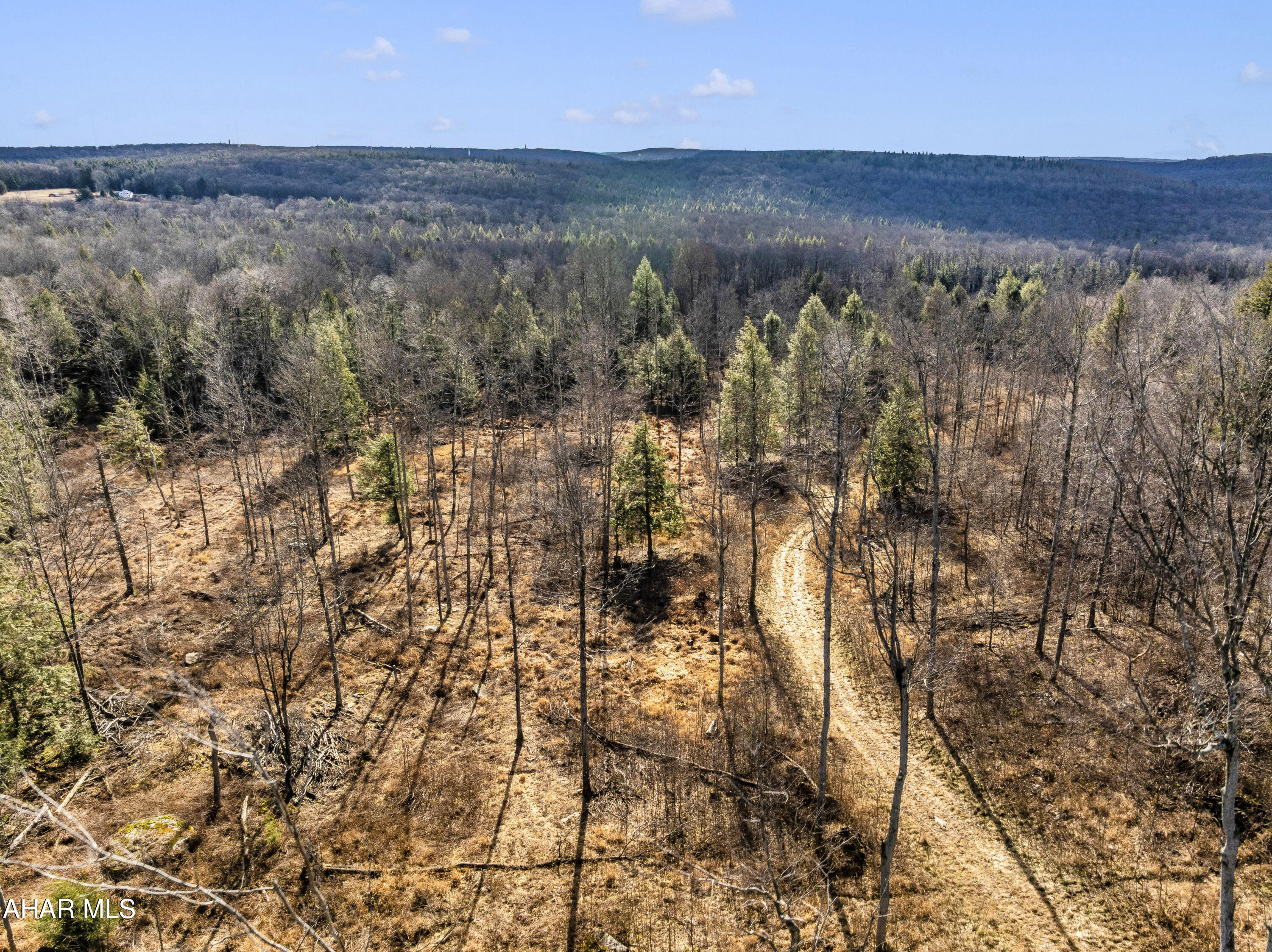 0 Lot 6 Mountain Road Road Lilly, PA 15938 - Photo 16 of 33