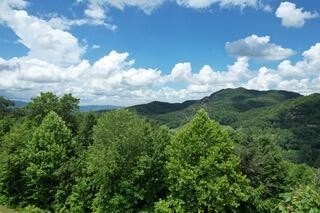 17 Grouse Ridge Lane Sevierville, TN 37862 - Photo 9 of 11 Gallery Image 9