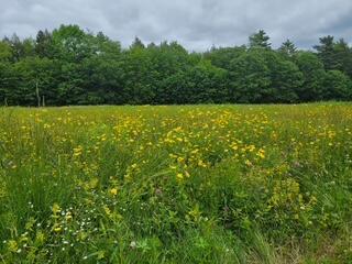 144 Middle Road Edgecomb, ME 04556 - Photo 22 of 53