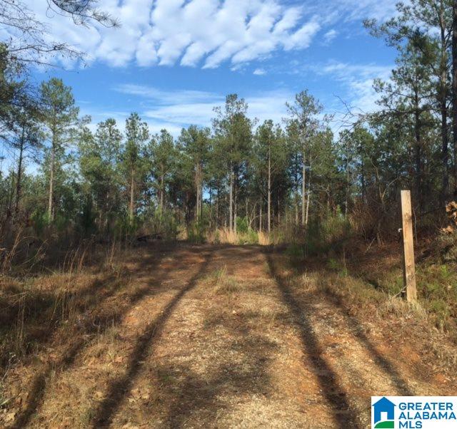 Story Road, Unit 201 Woodstock, AL 35188 - Photo 5 of 11