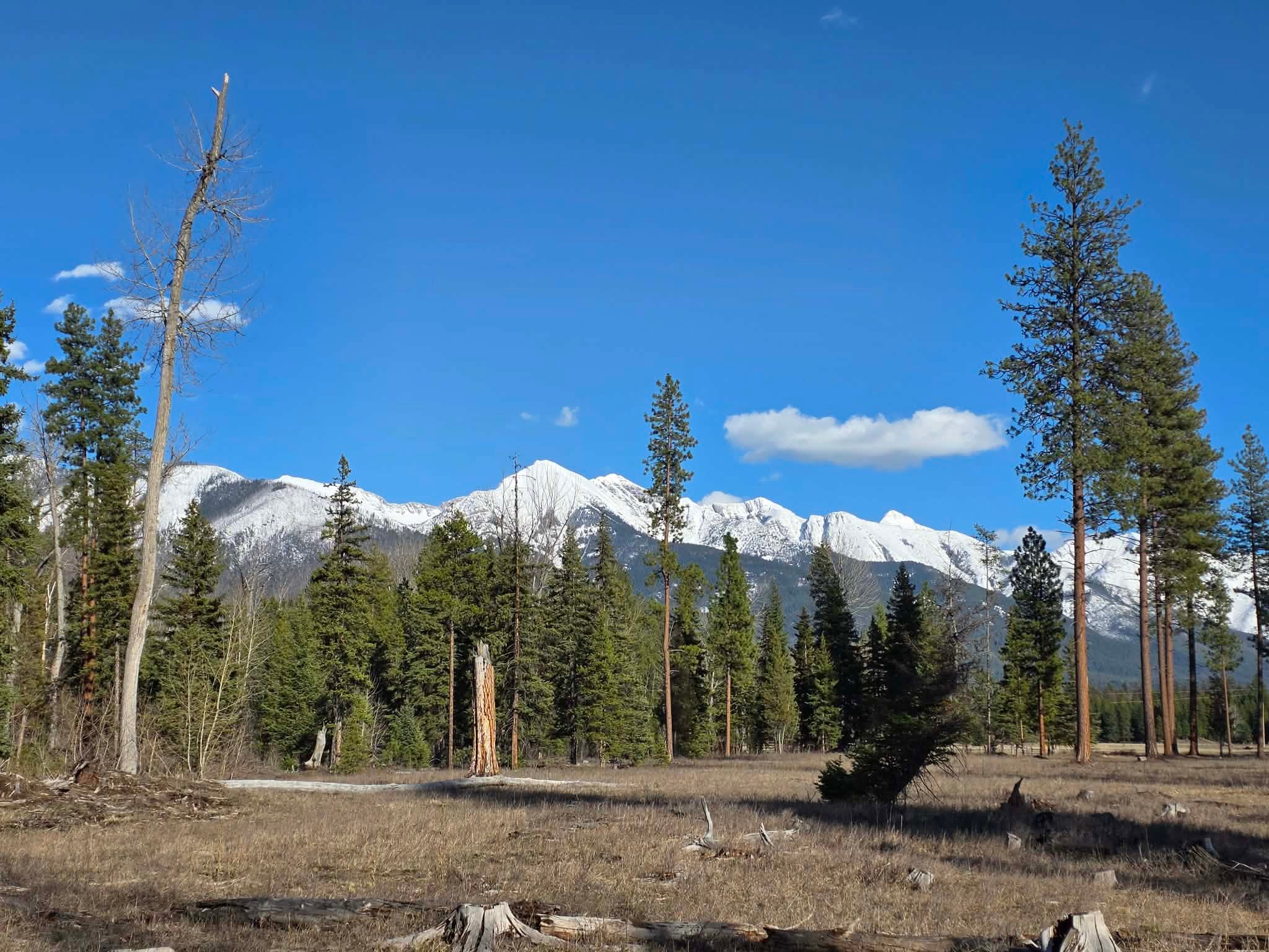 Nhn Hollopeter Road Condon, MT 59826 - Photo 1 of 72 flat land for your creativity