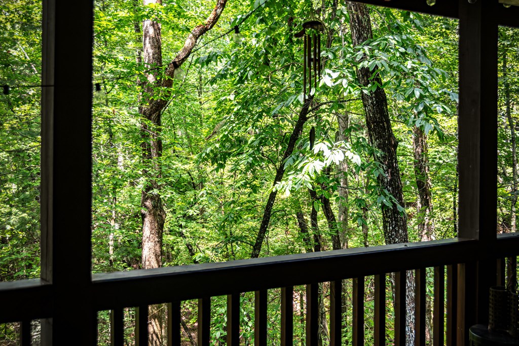120 Tomahawk Blue Ridge Blue Ridge, GA 30513 - Photo 46 of 56 a view of a green yard with large trees