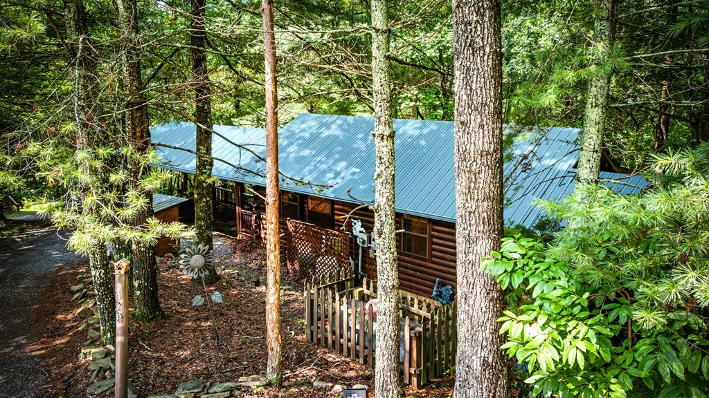 120 Tomahawk Blue Ridge Blue Ridge, GA 30513 - Photo 52 of 56 a view of a house with a tree