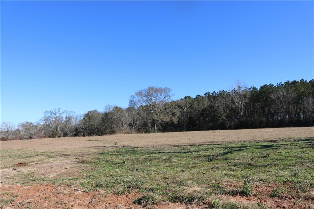 Lot 5 Zack Magee Road Angie, LA 70426 - Photo 1 of 4 Gallery Image 1