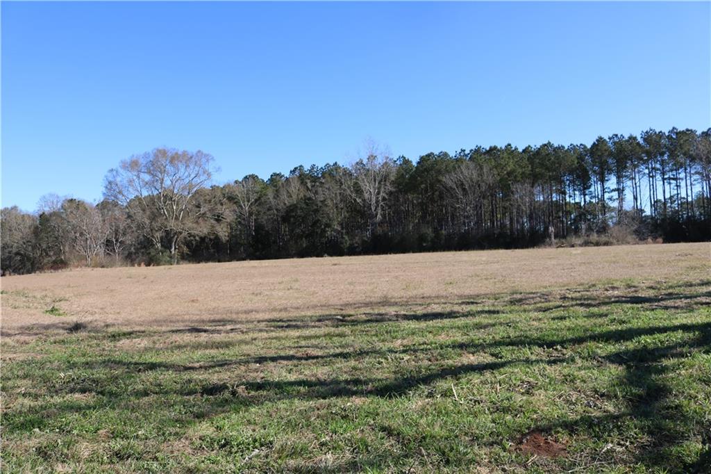 Lot 5 Zack Magee Road Angie, LA 70426 - Photo 2 of 4 Gallery Image 2