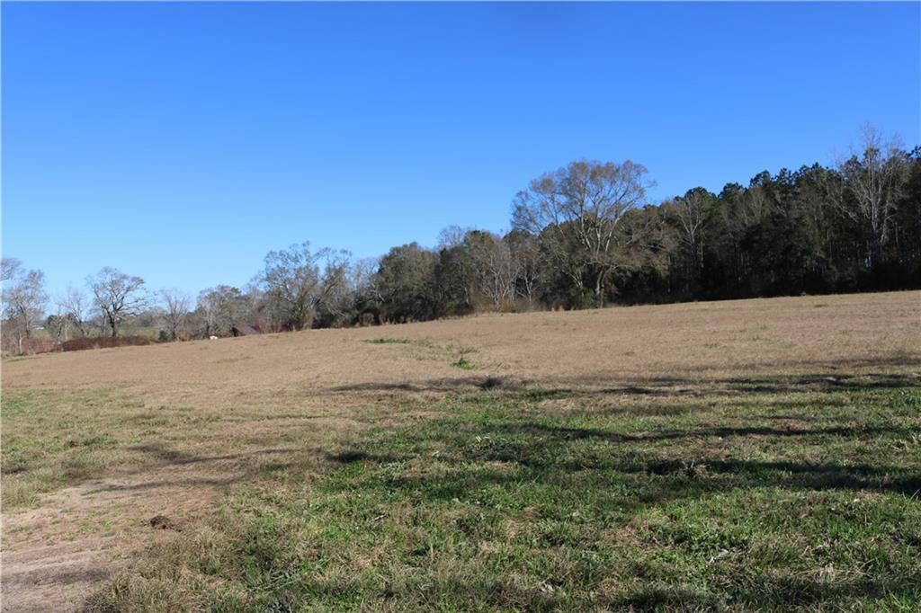 Lot 5 Zack Magee Road Angie, LA 70426 - Photo 3 of 4 Gallery Image 3