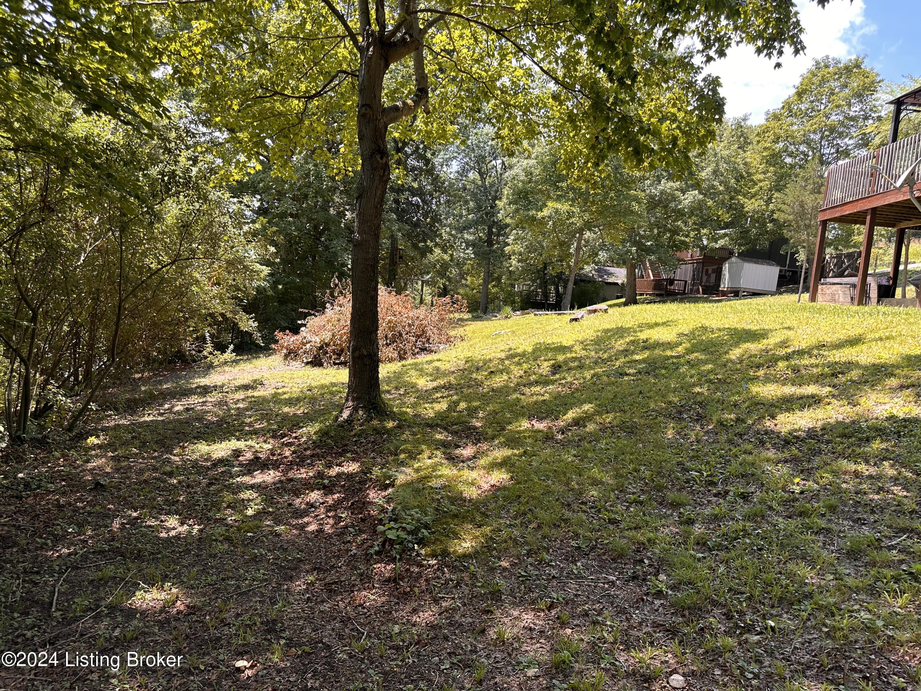 2968 Peter Cave Road Leitchfield, KY 42754 - Photo 47 of 47 IMG_5008 (1)