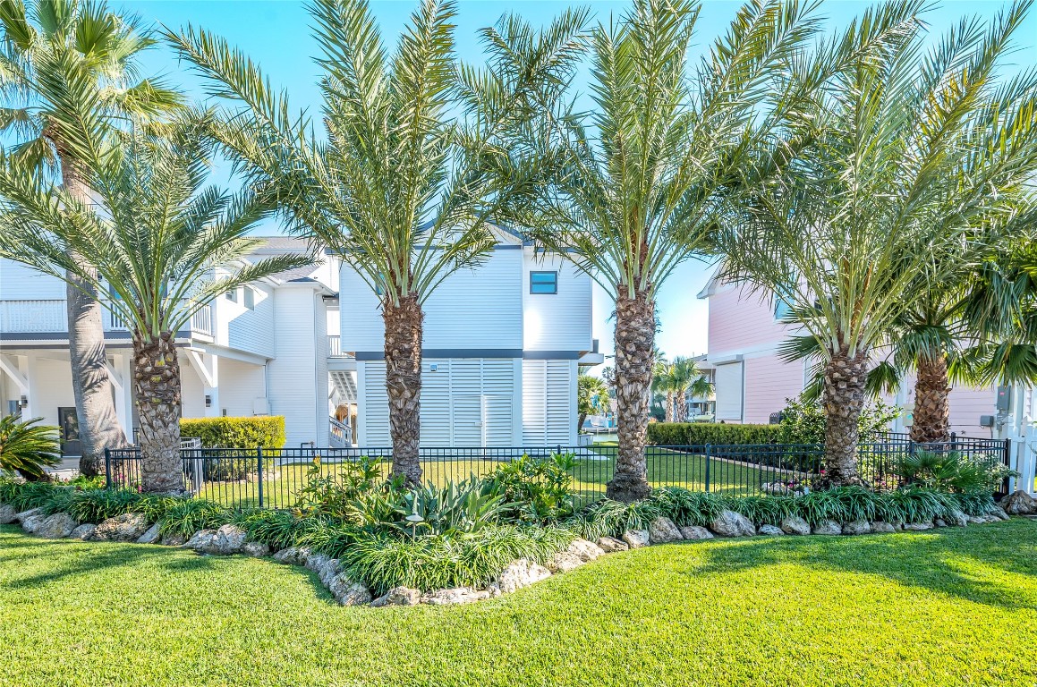 242 Isles End Road Tiki Island, TX 77554 - Photo 47 of 50 The large side yard offers plenty of space for pets, play systems, or sports. Notice the Medjool Palm Trees lining the green space.
