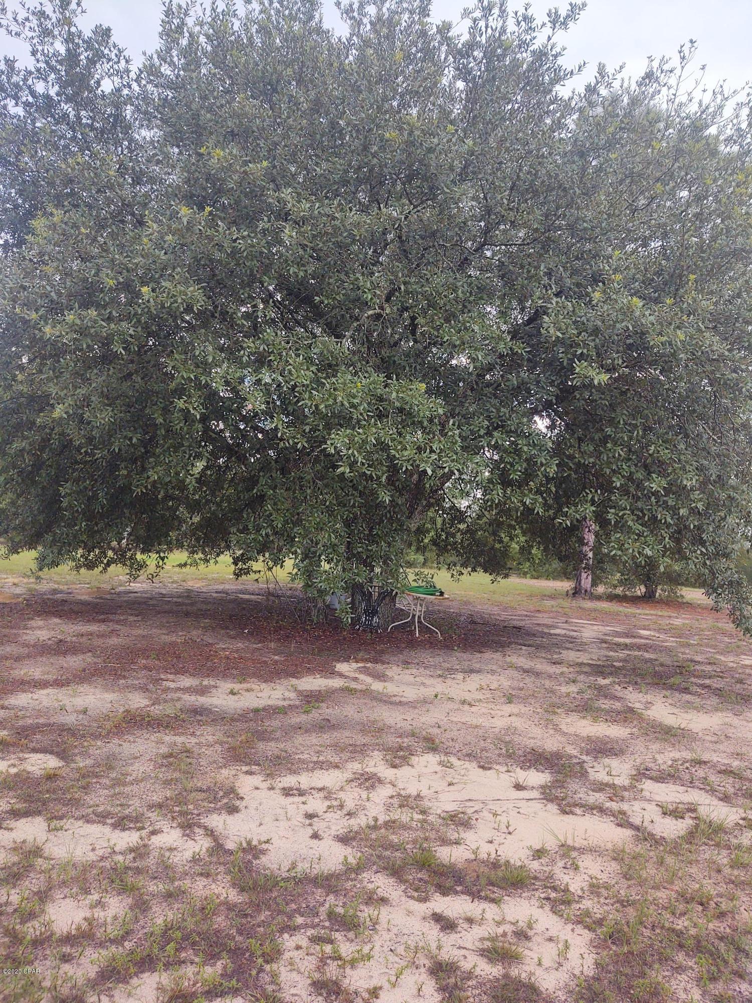 4799 Grassy Pond Road Chipley, FL 32428 - Photo 28 of 64 Gallery Image 28
