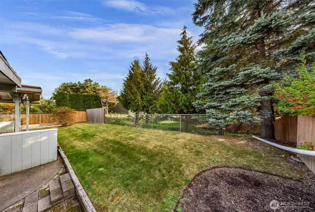 a view of a backyard with large trees
