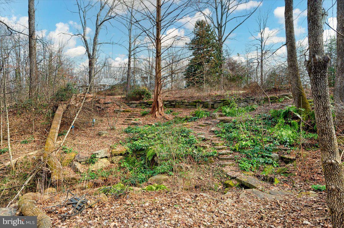 220 Leitch Road Tracys Landing, MD 20779 - Photo 41 of 65