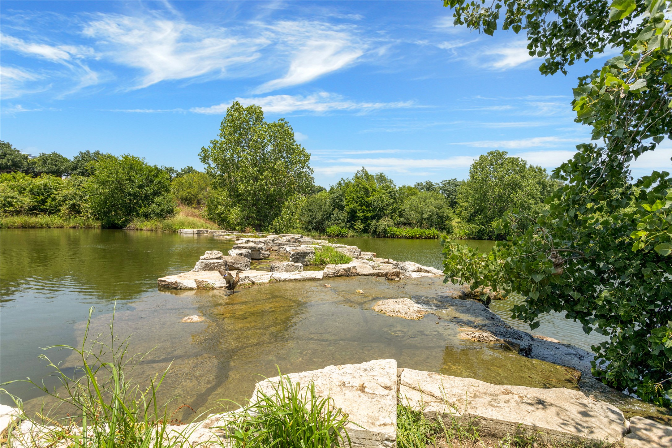 2805 McCurdy Street, Unit 14 Austin, TX 78723 - Photo 28 of 40 A tranquil river flows past natural stone formations, framed by lush trees under a vibrant sky.