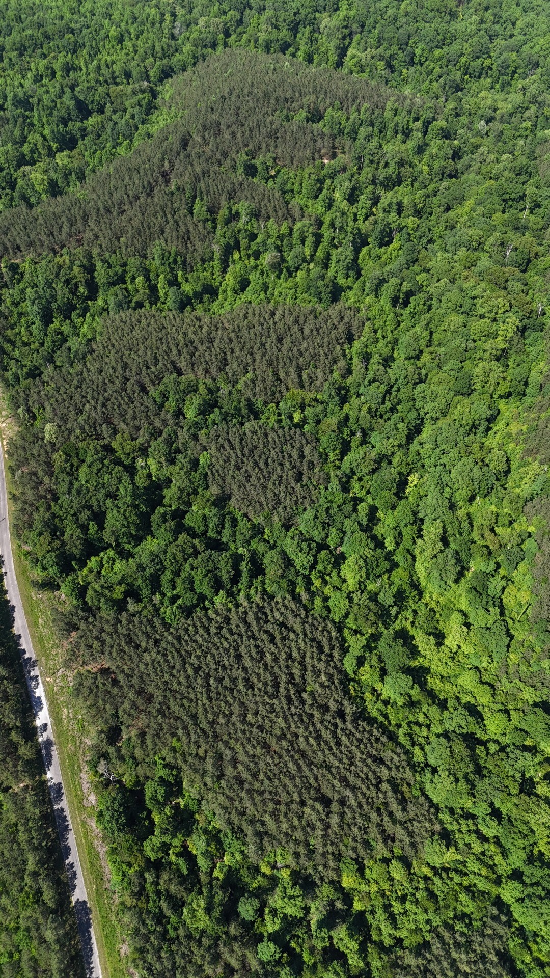 3149 Mcgee Road Linden, TN 37096 - Photo 2 of 18 a view of a lush green field