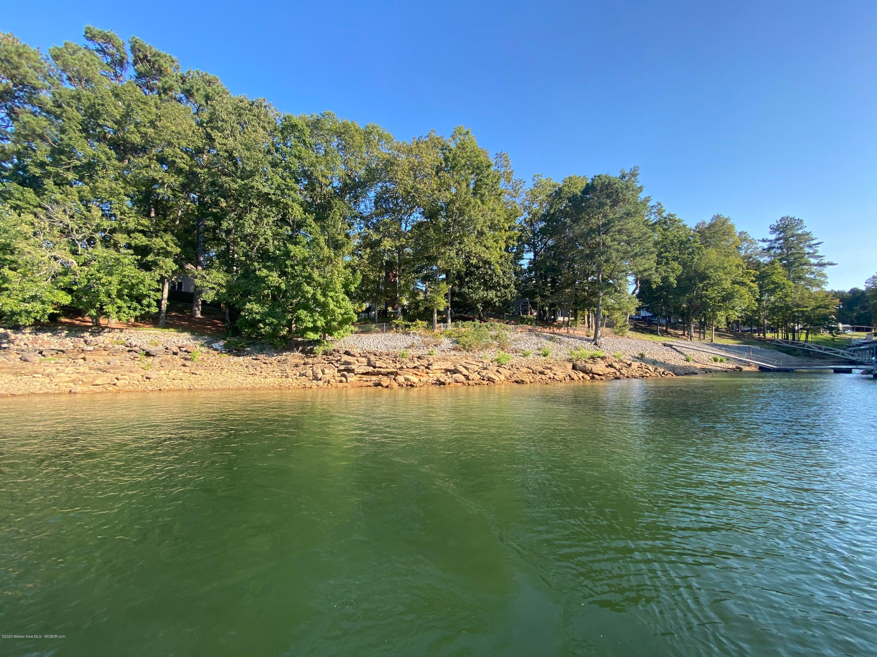145 Rutledge Drive Jasper, AL 35504 - Photo 2 of 10 Gallery Image 2