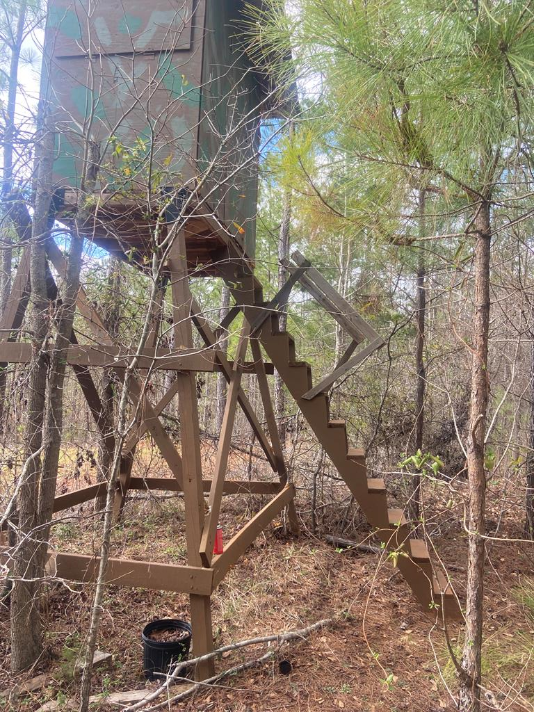 0 Irvin Road Shiloh, GA 31826 - Photo 42 of 46 Gallery Image 42