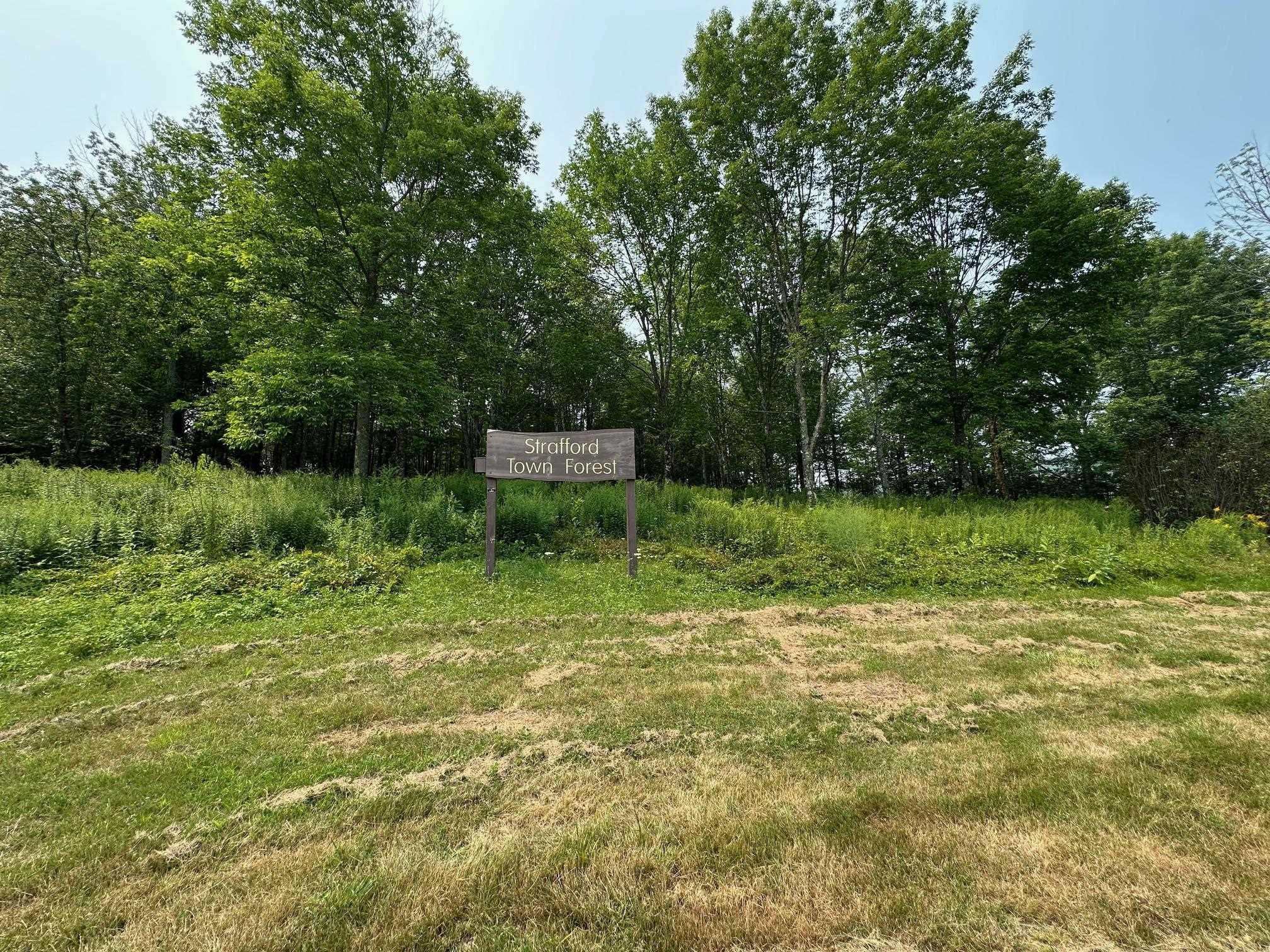 11-21 Parker Mountain Road Strafford, NH 03884 - Photo 11 of 11