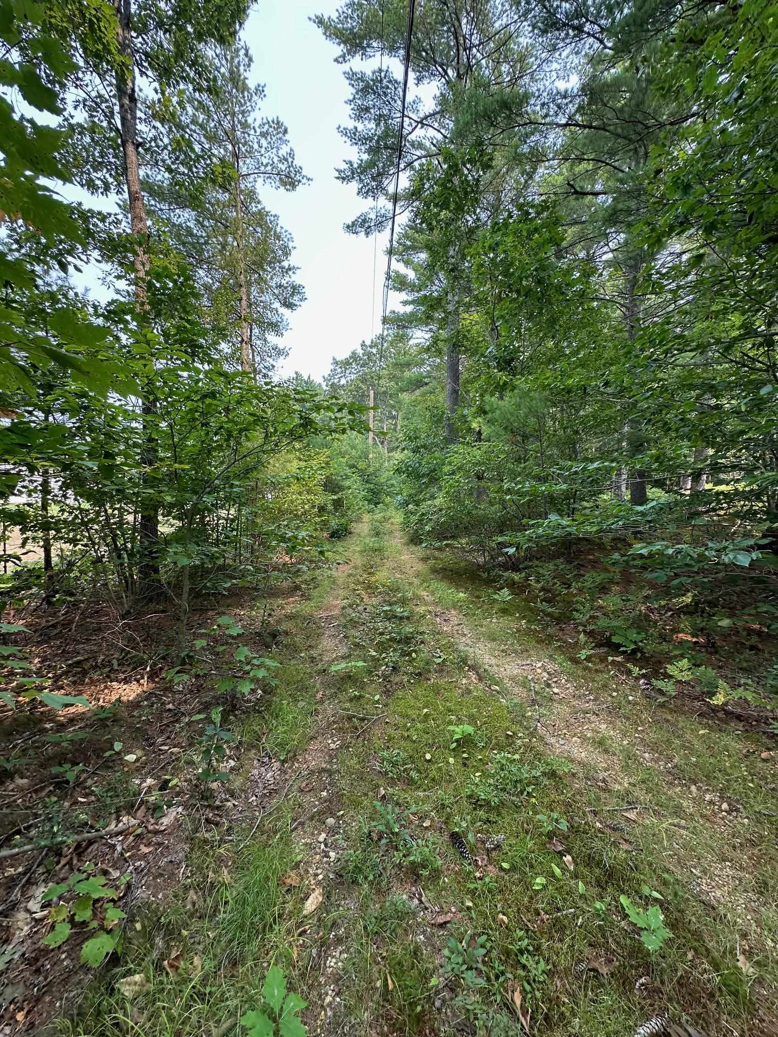 11-21 Parker Mountain Road Strafford, NH 03884 - Photo 3 of 11