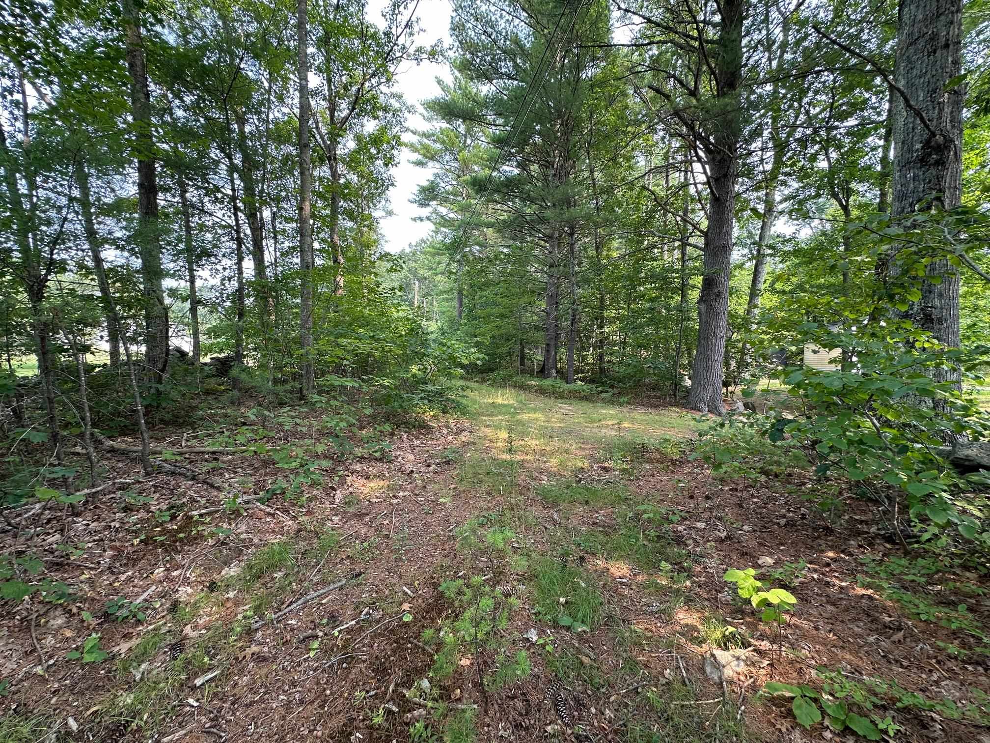 11-21 Parker Mountain Road Strafford, NH 03884 - Photo 4 of 11