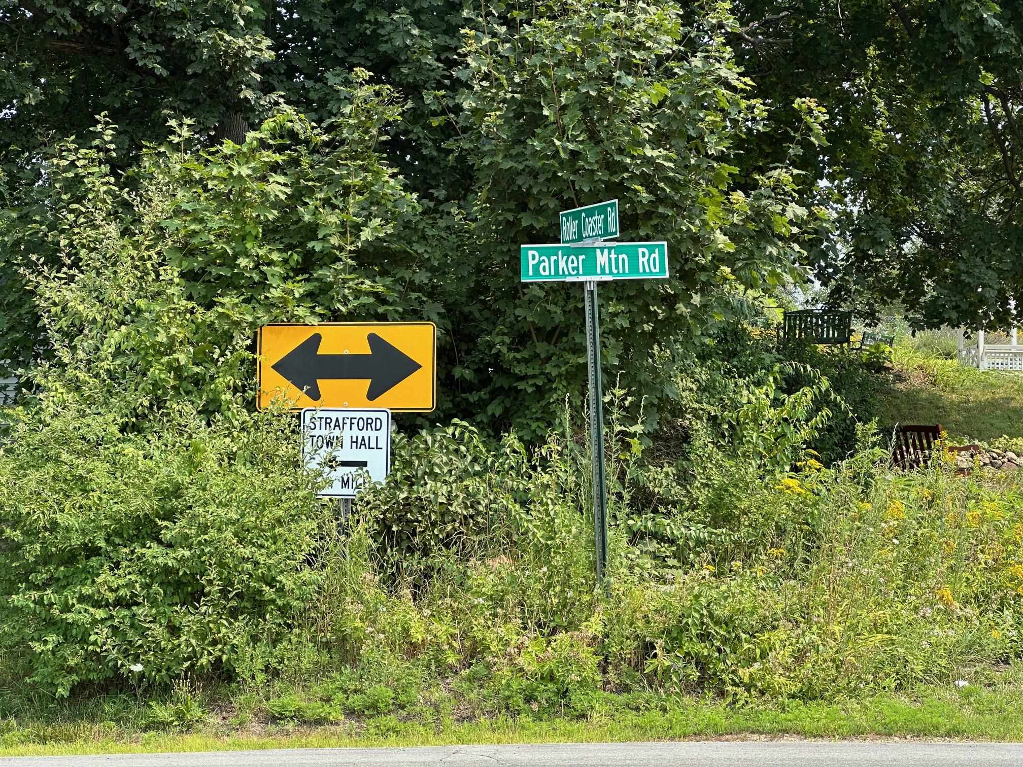 11-21 Parker Mountain Road Strafford, NH 03884 - Photo 6 of 11