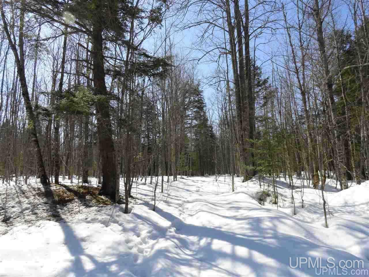 240-acres Leek Road Covington, MI 49919 - Photo 8 of 50