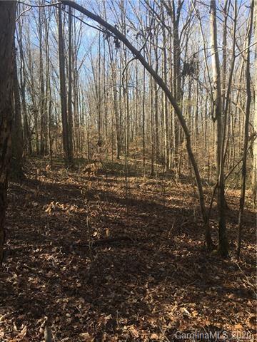 0 L R L R Schronce Lane, Unit TRACT A Iron Station, NC 28080 - Photo 2 of 2