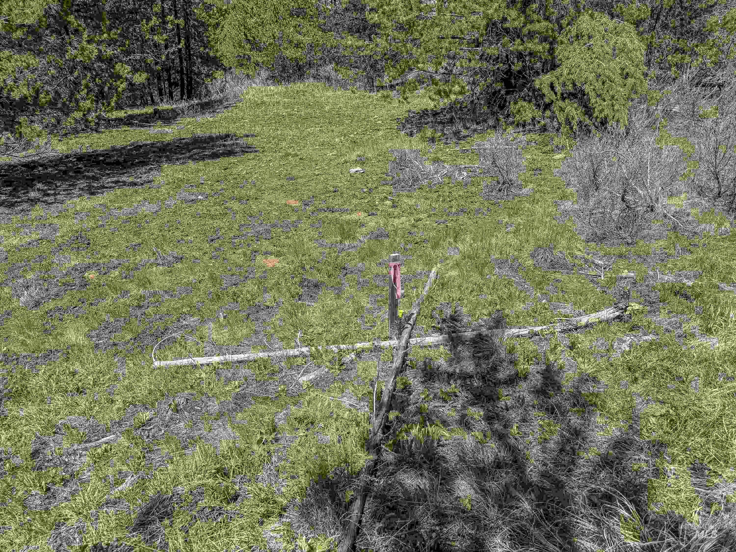 Tbd Deer Creek Road Winchester, ID 83555 - Photo 22 of 39