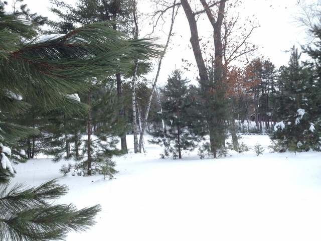 On Golf View Road Eagle River, WI 54521 - Photo 15 of 18 Gallery Image 15