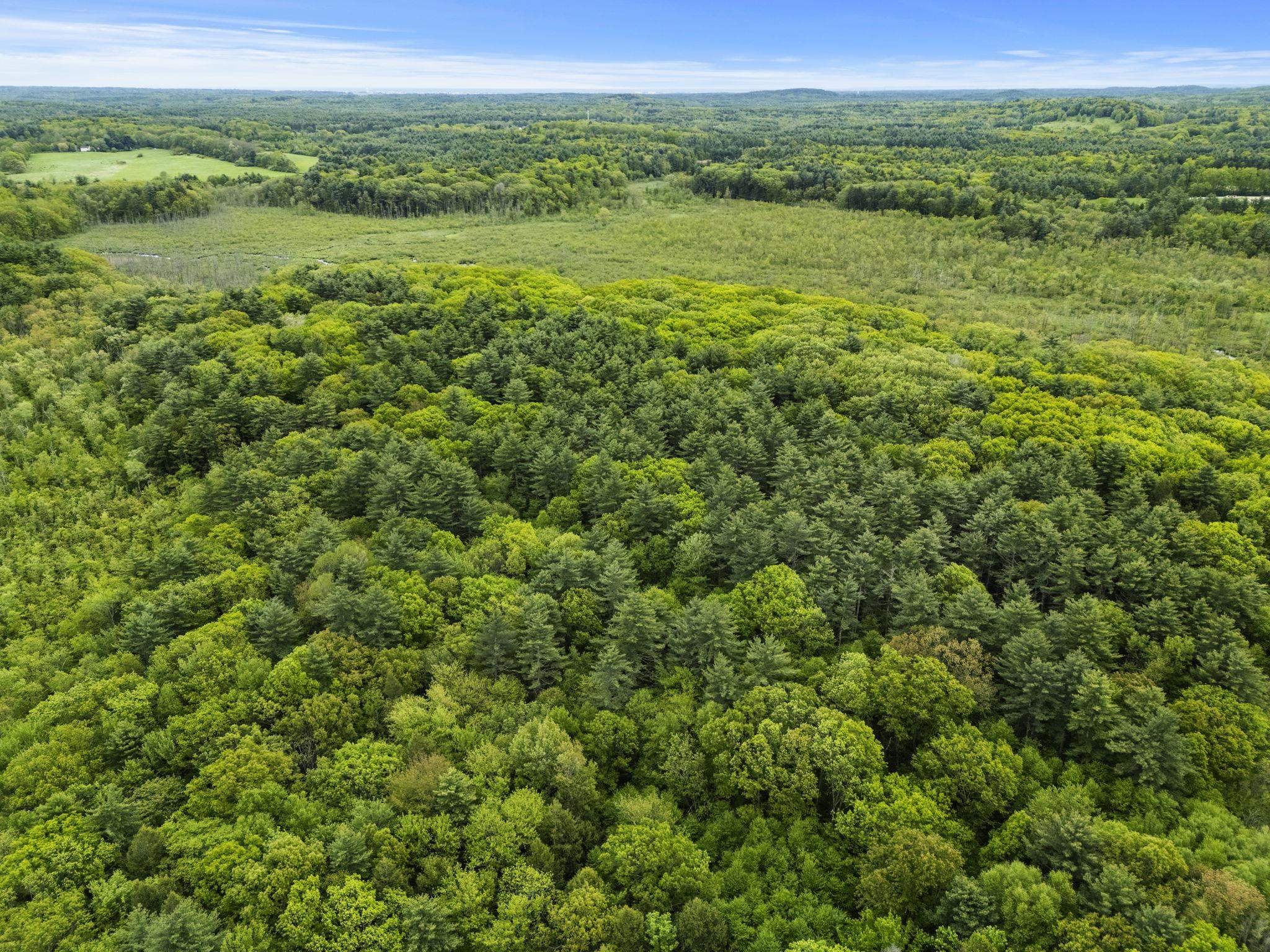 204 North Haverhill Road Kensington, NH 03833 - Photo 17 of 17