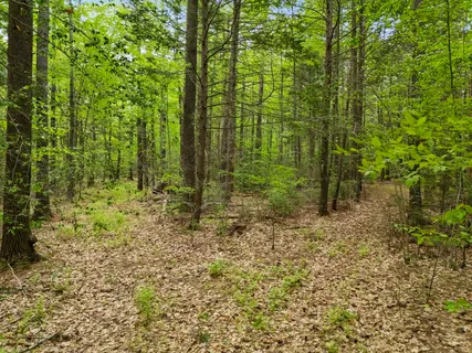 $430,000 | 204 North Haverhill Road, Kensington, NH 03833