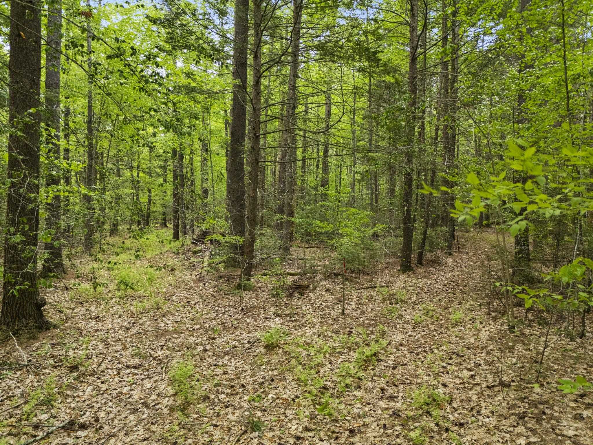 204 North Haverhill Road Kensington, NH 03833 - Photo 2 of 17