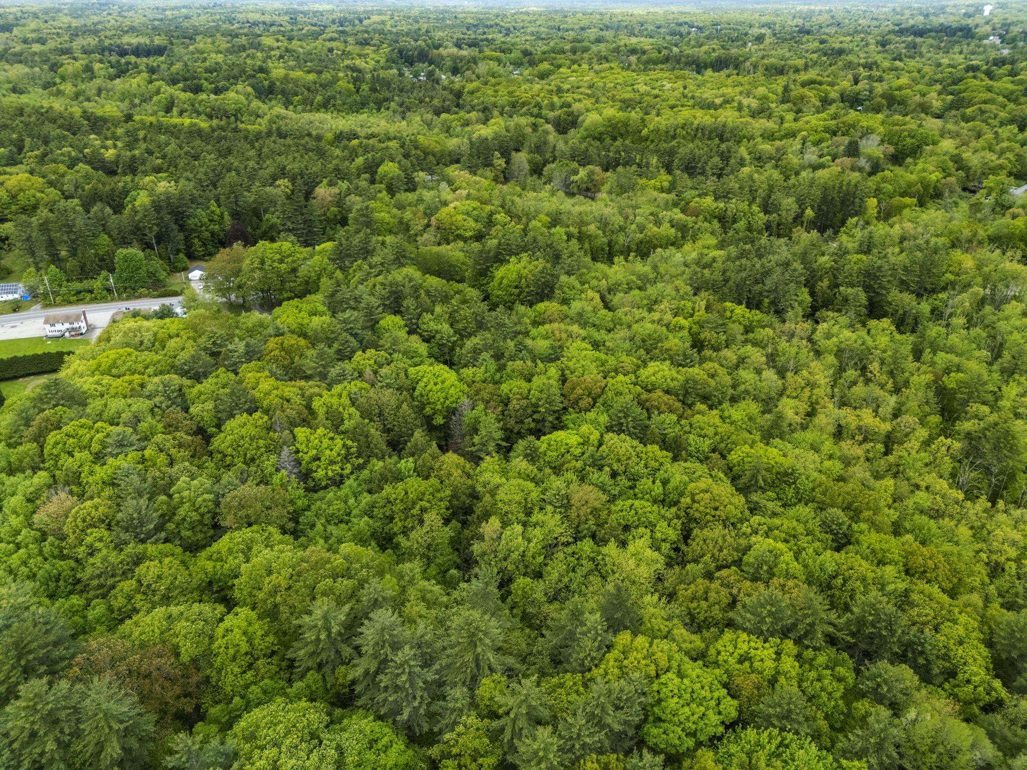 204 North Haverhill Road Kensington, NH 03833 - Photo 7 of 17